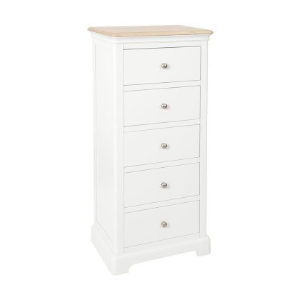 Bideford Painted 5 Drawer Wellington Chest