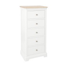 Bideford Painted 5 Drawer Wellington Chest