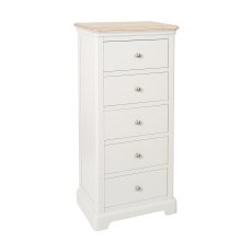 Bideford Painted 5 Drawer Wellington Chest