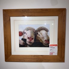 Showroom Clearance: Picture - Selfie Sheep