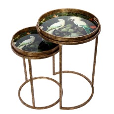 Tropical Birds Set of 2 Side Tray Tables