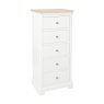 Bideford Painted 5 Drawer Wellington Chest Bideford Painted 5 Drawer Wellington Chest