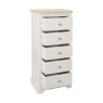 Bideford Painted 5 Drawer Wellington Chest Bideford Painted 5 Drawer Wellington Chest