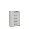 Amesbury 5 Drawer Chest Amesbury 5 Drawer Chest