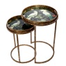 Tropical Birds Set of 2 Side Tray Tables Tropical Birds Set of 2 Side Tray Tables