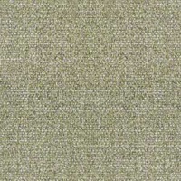 W122 Speckle Vine