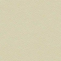 H002 Oxford Putty