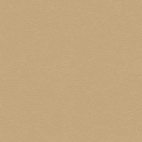 L855 Cambridge Sand