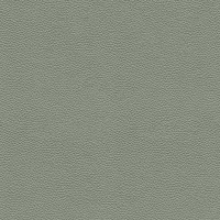 L858 Cambridge Olive