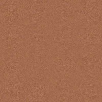 N001 Texas Tan