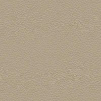 P219 Capri Putty