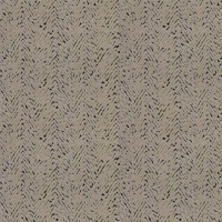 Arcata Mink 002555-0023