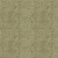 Arcata Moss 002555-0065