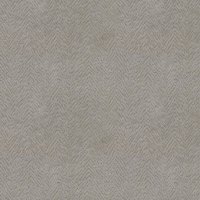 Arcata Oyster 002555-0041