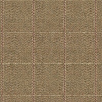 Montauk Check Gold 006022-0031