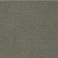 Miro Moss 001549-0065