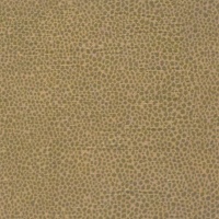Miro Rust 001549-0011