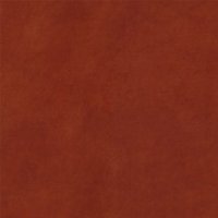 Wren Rust 001345-0011