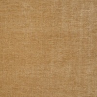 Thalia Gold 001476-0031