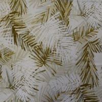 Wilderness Sage 002544-0067