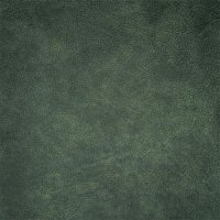 Molise Green Leather