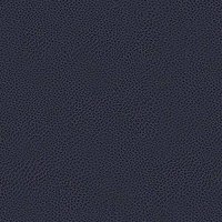Leather Atlantic Blue