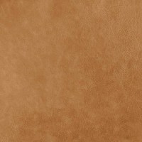 Leather Saddler Tan