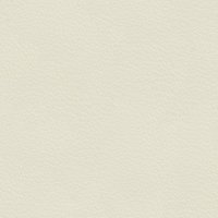 Fantasy 01 White