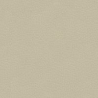 Fantasy 07 Cream