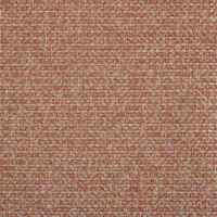 Wicker Coral