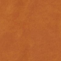 Delphi Orange