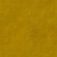 Delphi Sunflower