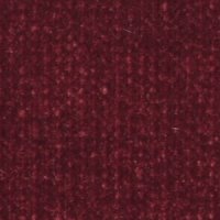 Begonia Burgandy 54