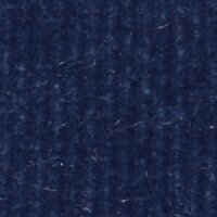 Begonia Dark Blue 72