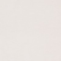 Begonia Light Grey