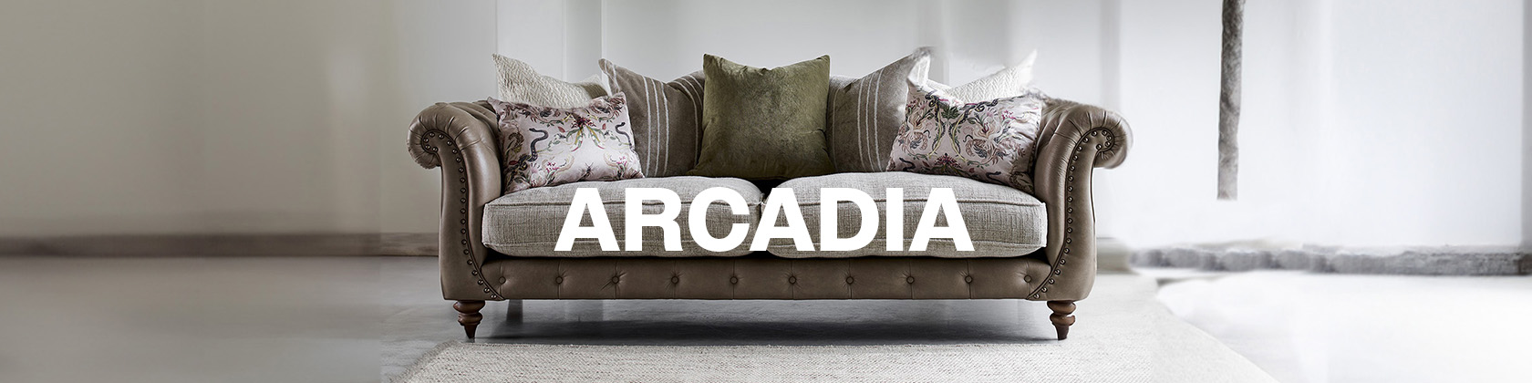 arcadia-banner-amended